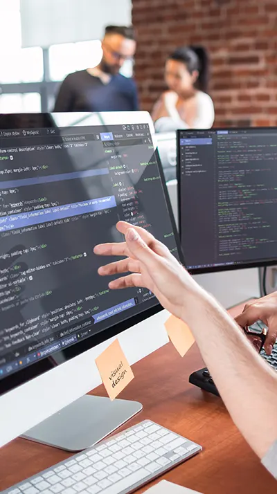 The world's best programming languages